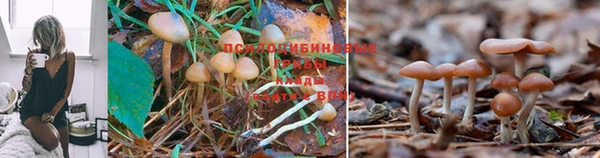 каннабис Нефтегорск