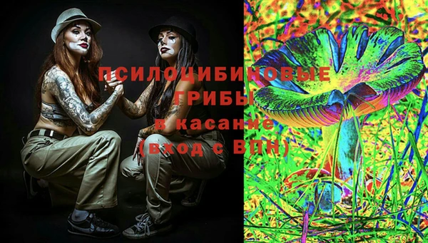apvp Нея