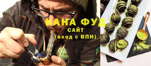 гашик Надым